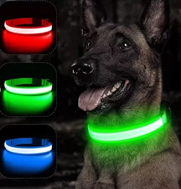 Collar led para mascotas, colores y medidas.  Producto local, plazo de entrega aproximado de entre 3 y 7 días.