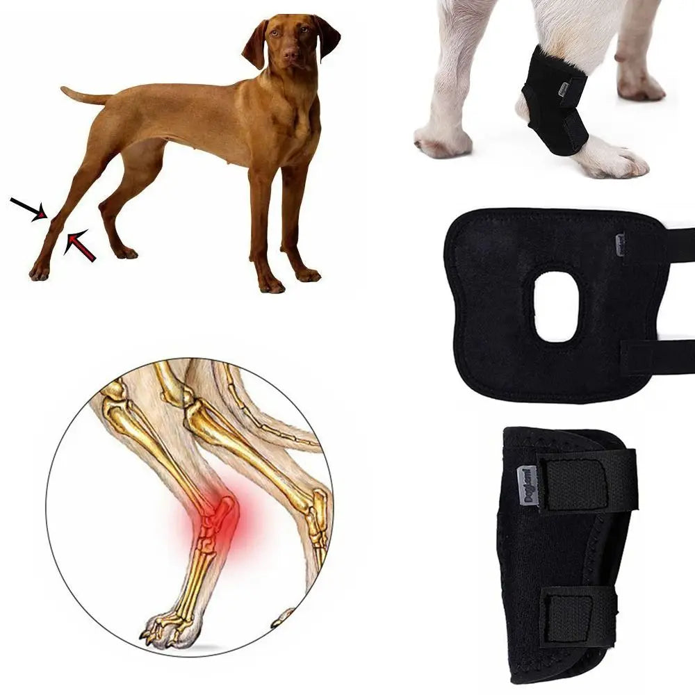 Vendaje protector para artritis de perros, alivio del dolor, soporte para patas de perros, recuperación de lesiones, soporte de articulación.  Producto importado, plazo de entrega aproximado de entre 7 y 18 días.