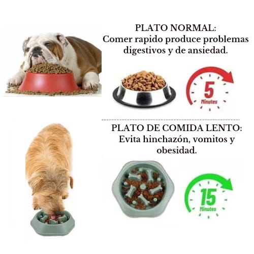 Cuenco comedero lento para Mascotas.  Producto local, plazo de entrega aproximado de entre 3 y 7 días.